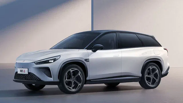 Hozon Neta L 2024-2025